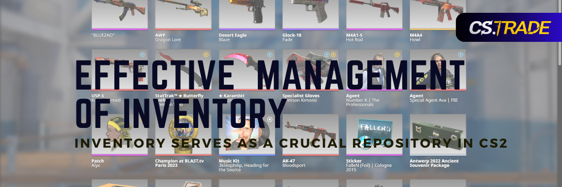 Inventory Management in Counter Strike 2